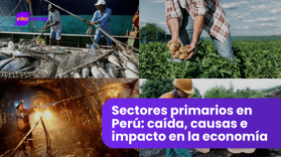 Sectores primarios en Perú: caída, causas e impacto en la economía
